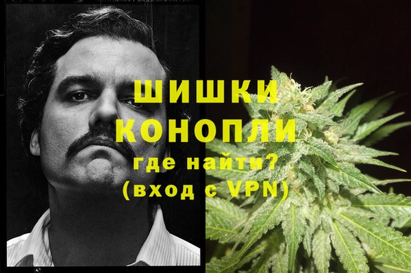 гашик Карталы