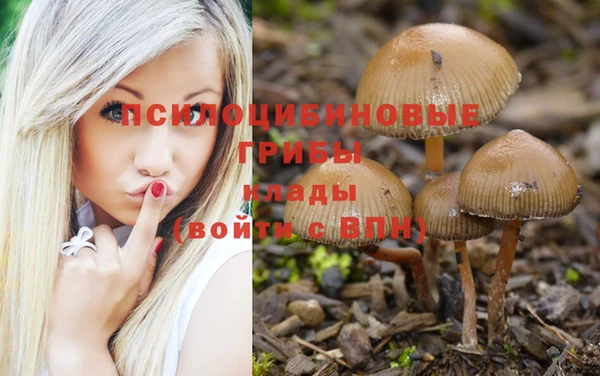 молекула духа Киреевск