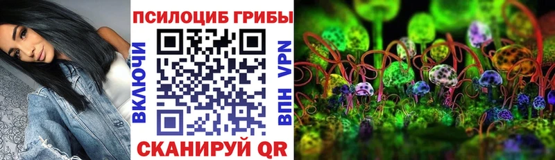 Купить где  Севастополь  Галлюциногенные грибы мухоморы 
